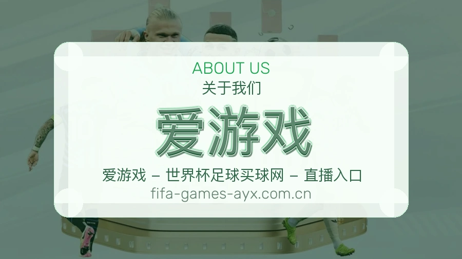 爱游戏服务理念